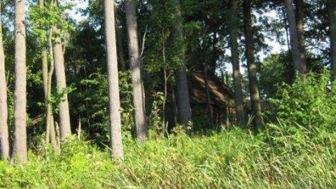 Sir John A and a barn - Sir.-John-A-Burial-Site--Barn9.jpg