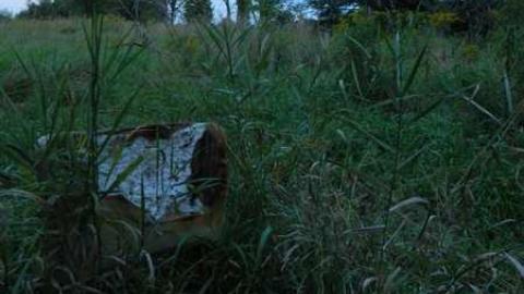 SEPT '13 - DSCN4511.jpg