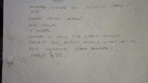 9/15/13, 9/16/13 - Abandoned-Cat-Lady-House307.jpg