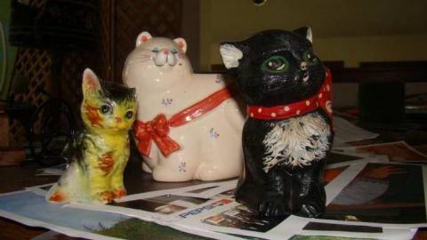 Ferndale Farms - Abandoned-Cat-Lady-House299.jpg