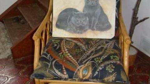 Ferndale Farms - Abandoned-Cat-Lady-House240.jpg