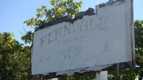 Ferndale Farms - Abandoned-Cat-Lady-House234.jpg