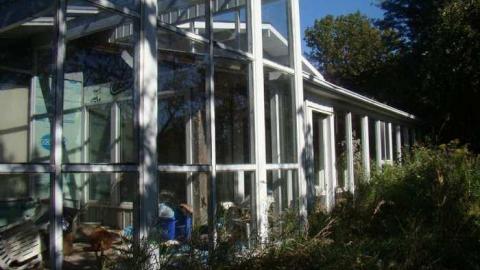 Ferndale Farms - Abandoned-Cat-Lady-House235.jpg