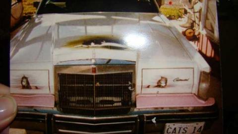 Ferndale Farms - Abandoned-Cat-Lady-House236.jpg