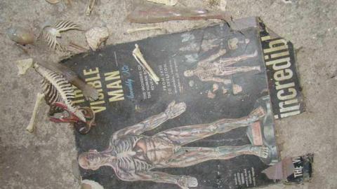 Sept 17/13 - DSC00168.jpg