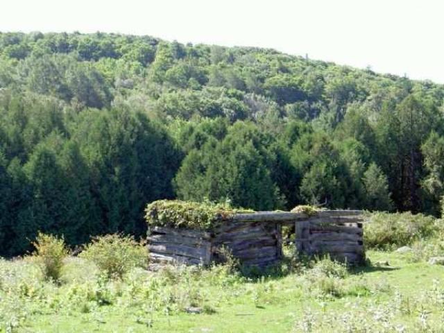 Newfoundout (ghost town) photo 5