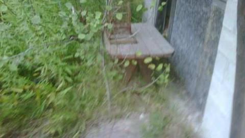 Badwood - Oro-Medonte, Ontario