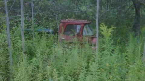 Line 4 - IMG00042-20100811-1829.jpg