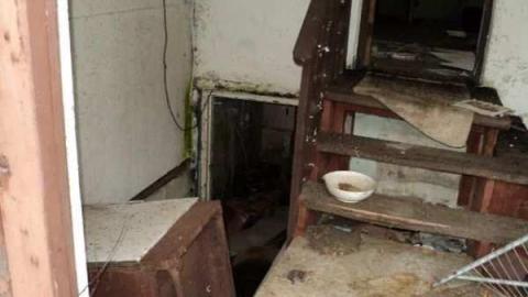 Ojibway Truck Stop photo 3