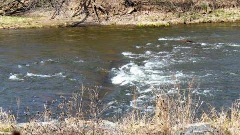 April 2013 Visit - Hyde-Mill-Ruins-(Streetsville)16.jpg