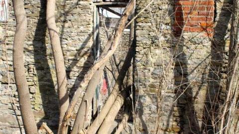 April 2013 Visit - Hyde-Mill-Ruins-(Streetsville)17.jpg