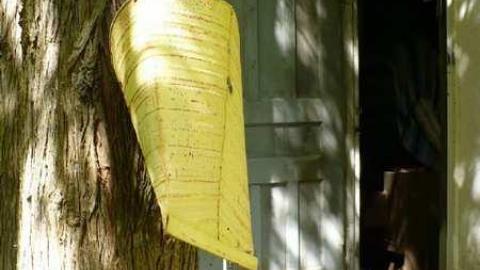 Cabin on 20 - P1140255.jpg