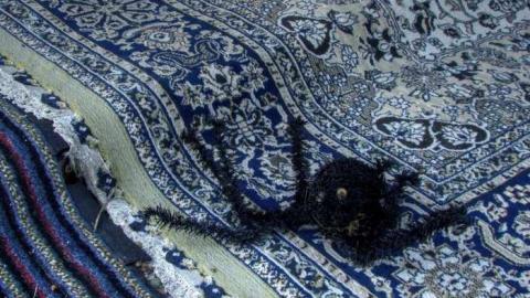 70's Bungalow photo 4