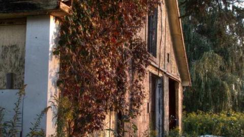 Kennedy Closure - 70s-Bungalow22.jpg