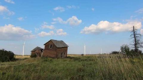 Summer Visit - fu9.jpg