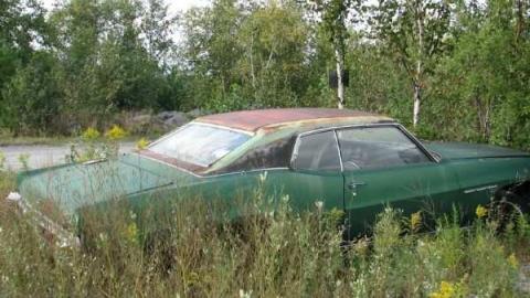 Azilda Wrecking Yard - Beautifully-Broken-(cars)10.jpg