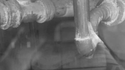 Wells St Public School - Wells-St.-Public-School10.jpg