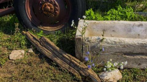 Photo from Carden Plains