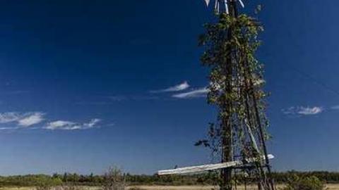 Photo from Carden Plains