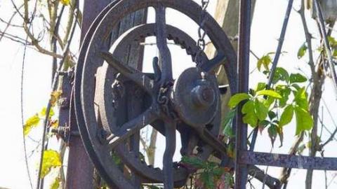 Photo from Carden Plains