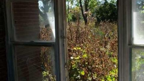 Not for long - Trucking-Co.-House5.jpg