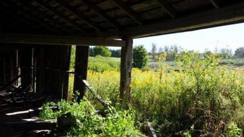 Sept 15 2013 - Old-Barn81.jpg