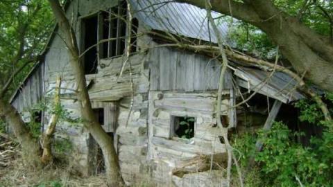 Gallery - Wellington-Rd-2625.jpg