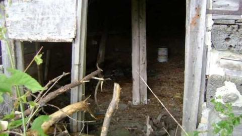 Gallery - Wellington-Rd-2627.jpg