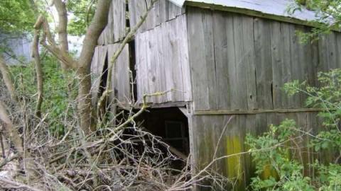 Gallery - Wellington-Rd-2628.jpg