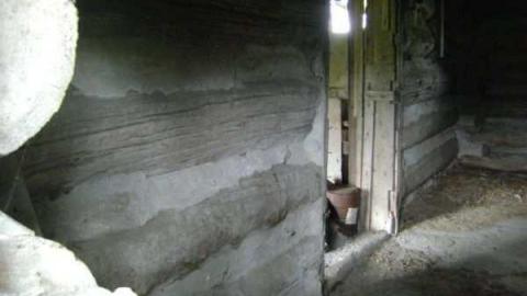 Gallery - Wellington-Rd-2629.jpg