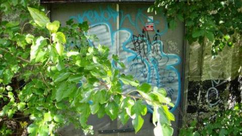 Collingwood Terminals - Collingwood-Terminals9.jpg