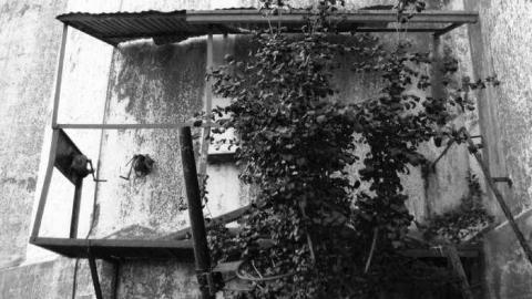 Collingwood Terminals - Collingwood-Terminals25.jpg