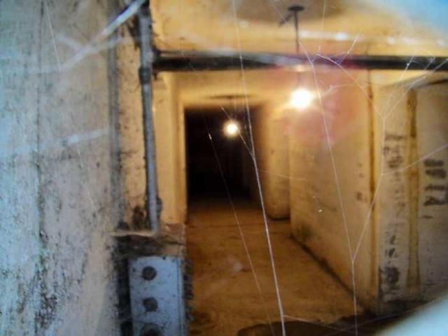 Collingwood Terminals photo 4