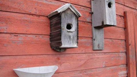 Wyant Wood Supplies - fyimage.jpg