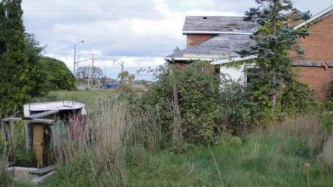 Wyant Wood Supplies - nbimage.jpg