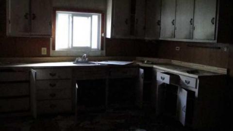 Wyant Wood Supplies - koimage.jpg