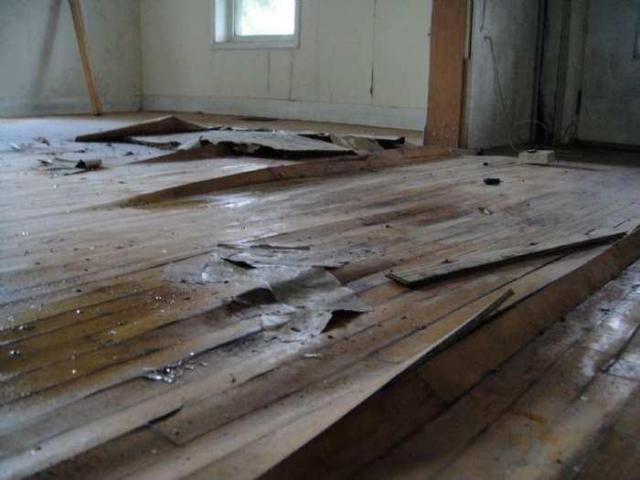 Wyant Wood Supplies photo 2