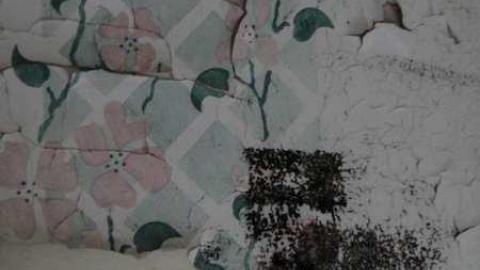 Wyant Wood Supplies - hmimage.jpg