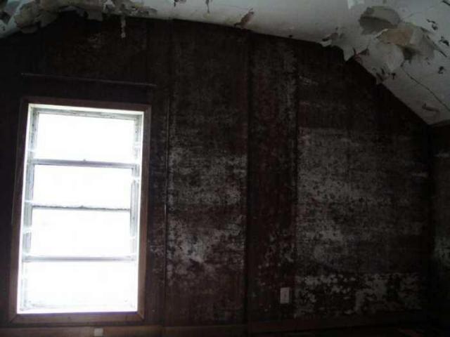 Wyant Wood Supplies photo 2