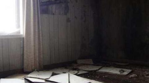 Wyant Wood Supplies - meimage.jpg