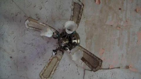 Wyant Wood Supplies - blimage.jpg