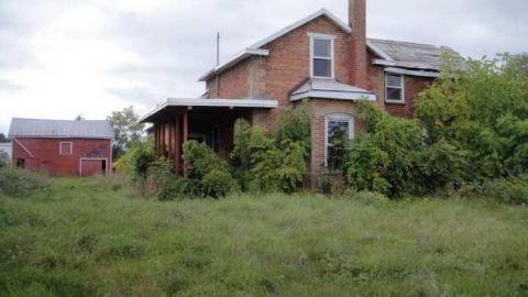 Wyant Wood Supplies - euimage.jpg