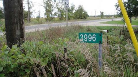 Empty and Lowe photo 3