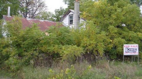 Empty and Lowe - mhimage.jpg