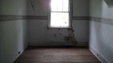 Empty and Lowe - coimage.jpg