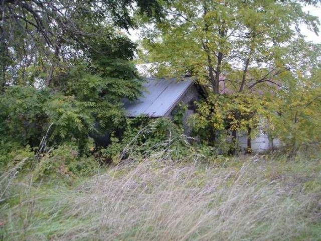 Empty and Lowe photo 4