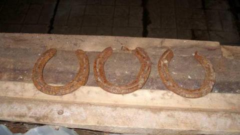 Five Star Ranch photo 4