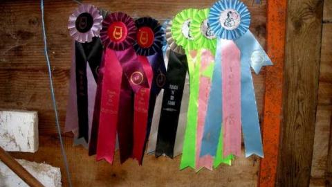 Ranch Undressing  - Five-Star-Ranch19.jpg