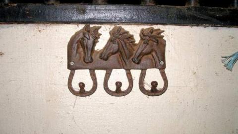 Ranch Undressing  - Five-Star-Ranch7.jpg