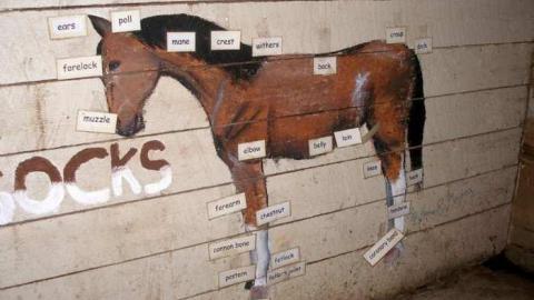 Ranch Undressing  - Five-Star-Ranch21.jpg